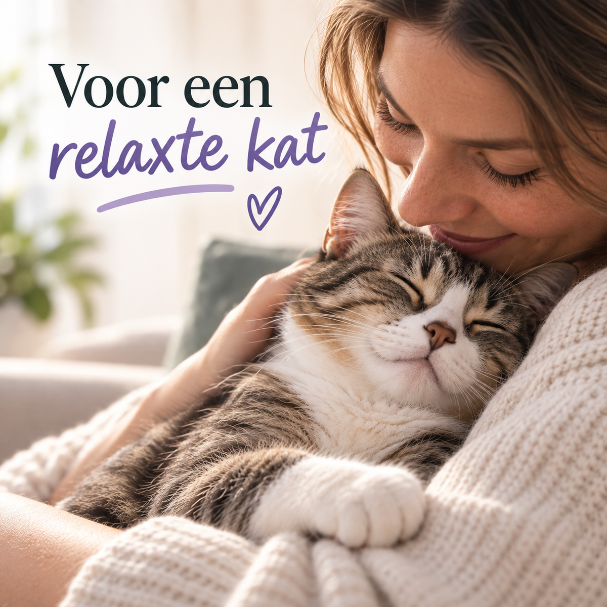 Kalmerende katten spray